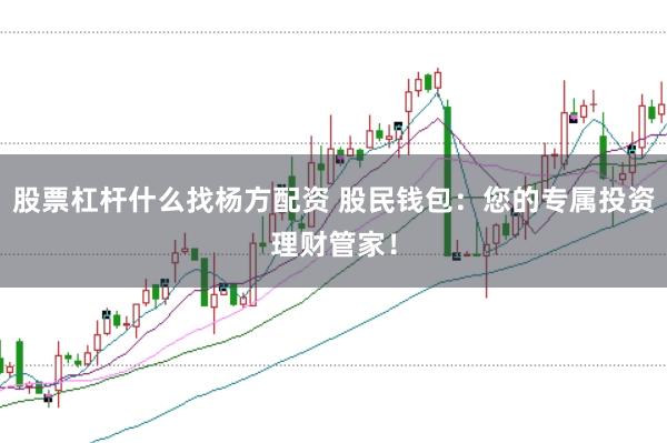 股票杠杆什么找杨方配资 股民钱包：您的专属投资理财管家！