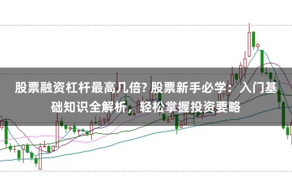 股票融资杠杆最高几倍? 股票新手必学：入门基础知识全解析，轻松掌握投资要略