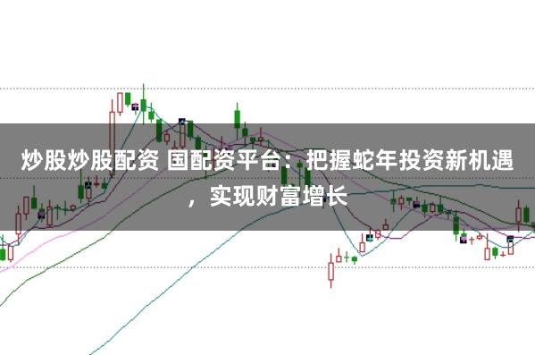 炒股炒股配资 国配资平台：把握蛇年投资新机遇，实现财富增长