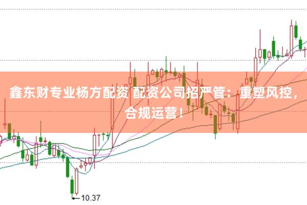 鑫东财专业杨方配资 配资公司招严管：重塑风控，合规运营！