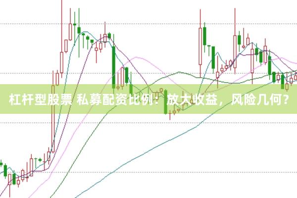 杠杆型股票 私募配资比例：放大收益，风险几何？