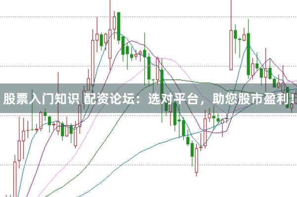 股票入门知识 配资论坛：选对平台，助您股市盈利！