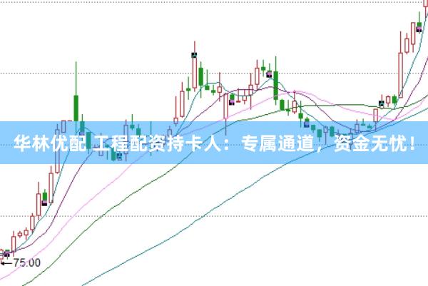 华林优配 工程配资持卡人：专属通道，资金无忧！