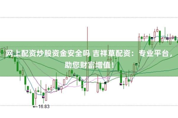 网上配资炒股资金安全吗 吉祥草配资：专业平台，助您财富增值！