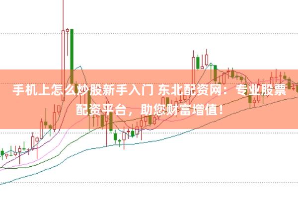 手机上怎么炒股新手入门 东北配资网：专业股票配资平台，助您财富增值！