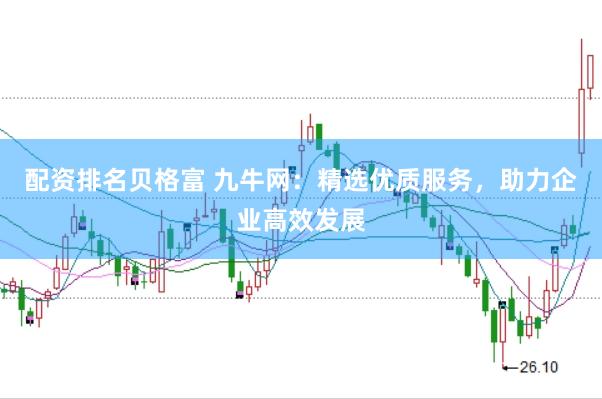 配资排名贝格富 九牛网：精选优质服务，助力企业高效发展