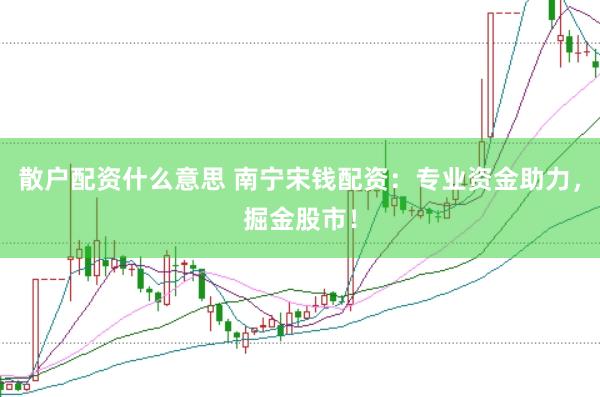 散户配资什么意思 南宁宋钱配资：专业资金助力，掘金股市！