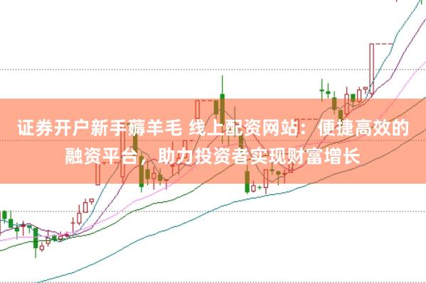 证券开户新手薅羊毛 线上配资网站：便捷高效的融资平台，助力投资者实现财富增长