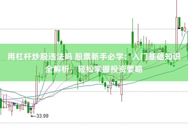 用杠杆炒股违法吗 股票新手必学：入门基础知识全解析，轻松掌握投资要略