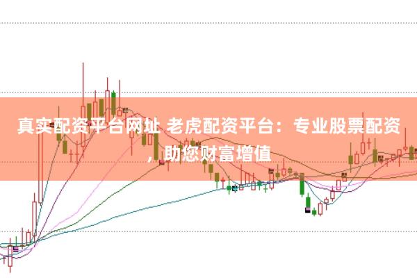 真实配资平台网址 老虎配资平台：专业股票配资，助您财富增值