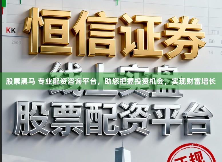 股票黑马 专业配资咨询平台,助您把握投资机会,实现财富增长