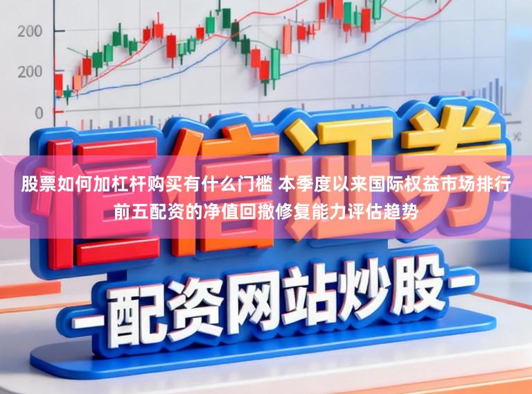 股票如何加杠杆购买有什么门槛 本季度以来国际权益市场排行前五配资的净值回撤修复能力评估趋势