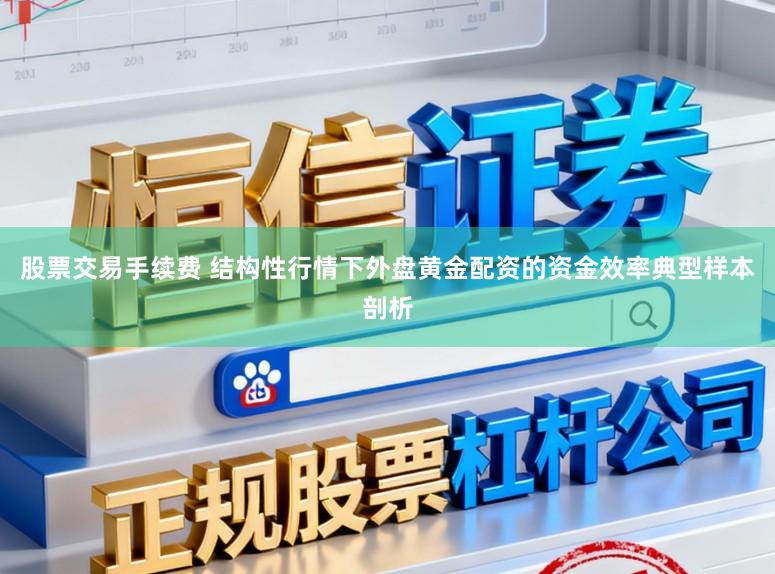 股票交易手续费 结构性行情下外盘黄金配资的资金效率典型样本剖析