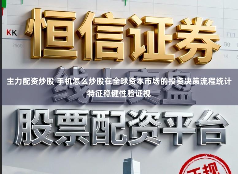 主力配资炒股 手机怎么炒股在全球资本市场的投资决策流程统计特征稳健性验证视