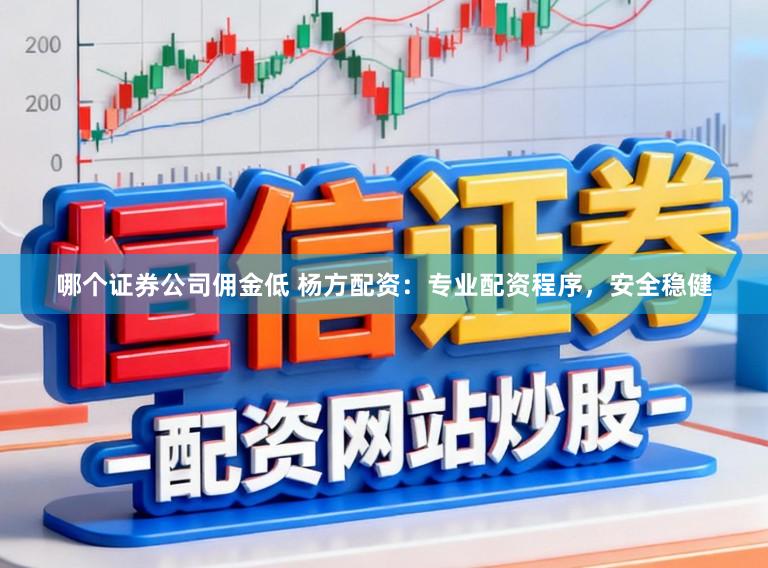 哪个证券公司佣金低 杨方配资：专业配资程序，安全稳健